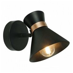 Спот Arte Lamp Baltimore A1406AP-1BK