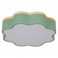 Накладной светильник Escada 10208 10208/1LED (Green)