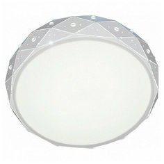 Накладной светильник Escada 10220 10220/S LED