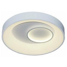 Накладной светильник Escada 10207 10207/2LED