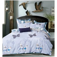 Комплект постельного белья Dream Fly 2 спальный Микросатин Tango