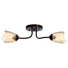 Люстра 1341003/2BR E27 15Вт коричневый Bayer Lux