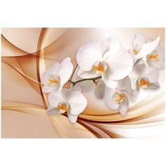Фотообои Белая орхидея/ Красивые уютные обои на стену в интерьер комнаты/ 3Д расширяющие пространство над кроватью или над столом/ На кухню в спальню детскую зал гостиную прихожую/ размер 400х270см/ Флизелиновые