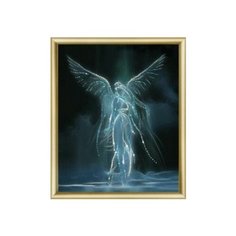 Алмазная мозаика Ночной ангел, Чарiвна Мить 24x29.5 см.