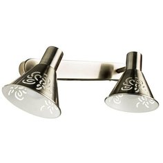 Arte Lamp Спот Arte Lamp Cono A5218AP-2AB
