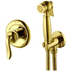 Гигиенический душ Lemark Brava LM4719G со встраиваемым смесителем