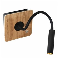 Настенный светильник favourite 2835-1w