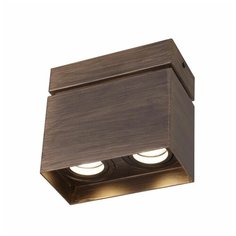 Потолочный светильник favourite 2794-2u