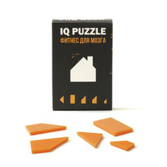 Головоломка IQ Puzzle Домик