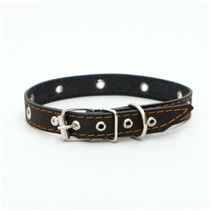 Ошейник кожаный однослойный с рифленными люверсами, 50 х 2 см, безразмерный, чёрный Пижон