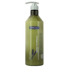 Dancoly Арома-кондиционер для сухих и поврежденных волос Aroma Conditioner, 1000 мл