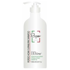 BB one Picasso Шампунь HOME CARE CLEAN&CARE (для всех типов кожи головы И волос) 1000мл