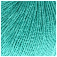 Пряжа "Baby Wool" 20% кашемир, 40% меринос. шерсть, 40% акрил 175м/50гр (832 св. бирюзов.) 1моток 3296595 Gazzal
