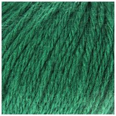 Пряжа "Baby Wool XL" 20% кашемир, 40% меринос. шерсть, 40% акрил 100м/50гр (814 зелёный) 1моток 3101351 Gazzal