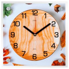 Часы настенные "Bio", 2525-110 Рубин