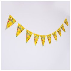 Гирлянда "С днем рождения", 10 флажков Страна Карнавалия