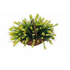 Искусственные подснежники в корзине / искусственные растения для декора / декор для дома Holodilova