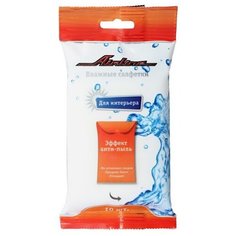 Салфетки влажные для автосалона и интерьера (10 шт.) (AN-S-02) Airline