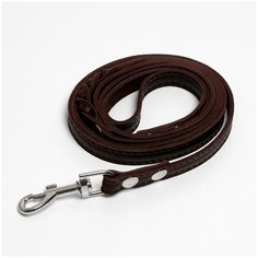 Поводок кожаный однослойный тиснёный, удлиненный, 2 м*1,6 см коричневый Сима ленд
