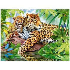 Алмазная мозаика 30х40 "Леопарды" круглые стразы, на подрамнике Галеон