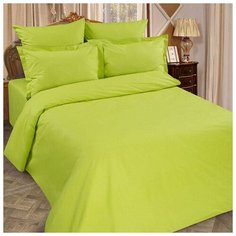 Простыня 2 сп Цвет эмоций 180х217 лайм,100% хлопок, поплин 1153000 Традиция