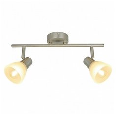 Спот Arte Lamp Parry A5062AP-2SS