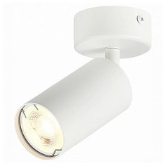 Спот ST- Luce Dario ST303.502.01