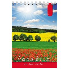 Блокнот А6, 40л, клетка, гребень, в асс Б40-9517 Проф Пресс