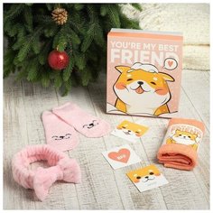 Набор подарочный "Friend" полотенце и акс 5142748 Этель