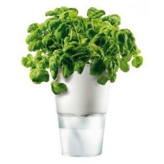 Горшок для растений с функцией самополива ?11 см белый, Eva Solo