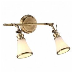 Спот l - 45см, s - 22см, лампы - 2шт, плафон - белый с каймой, арматура - бронза античная, 80Вт Arte Lamp