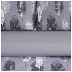 Постельное белье "Этель" 2 сп Перья (вид 2) 175*215 см, 200*220 см,70*70 см -2 шт,поплин 125 г/м2 5418218