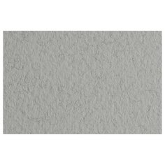 Бумага Fabriano Tiziano для пастели 65 х 50 см, 160г/м², 10 л. nebbia