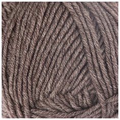 Пряжа "Lanagold" 51% акрил, 49% шерсть 240м/100гр (240 св. коричн. мел) 1моток 2930741 Alize