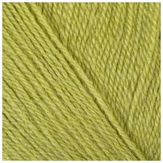 Пряжа "Nakolen 5" 49% шерсть, 51% акрил 500м/100г (23107 фисташковый) 1моток 3563020