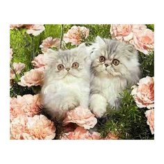 Алмазная мозаика "Персидские коты в розах", 30х40 см (с полным заполнением, без подрамника)