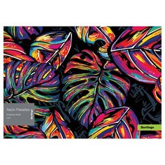 Папка-конверт на кнопке Berlingo "Neon Paradise" A4, 180мкм, с рисунком, 12шт.