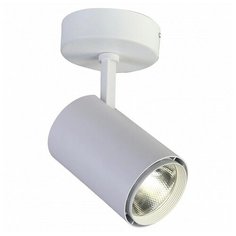 Светильник на штанге Favourite Projector 1773-1U