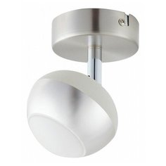 Спот TopLight Doreen TL1241Y-01SN