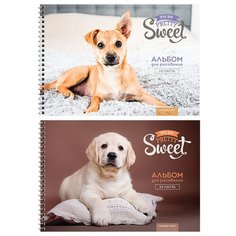 Альбом для рисования 24л., А4, на гребне ArtSpace "Питомцы. Pretty sweet", 6 штук в упаковке, 2 дизайна