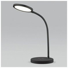 Настольная лампа офисная Elektrostandard Tiara a048743