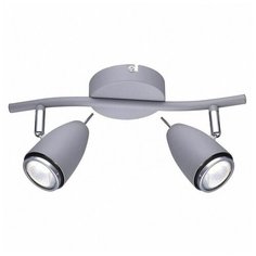 Спот Arte Lamp Regista A1966AP-2GY