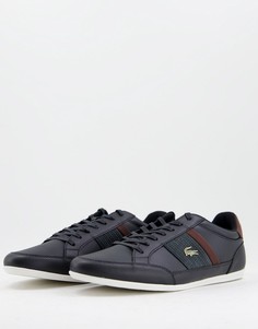 Черные с коричневым кроссовки Lacoste Chaymon-Черный цвет