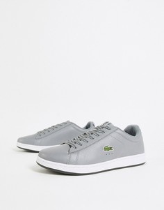 Серые кожаные кроссовки Lacoste Carnaby Evo-Серый