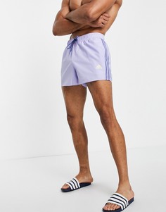 Фиолетовые шорты для плавания с тремя полосками adidas-Фиолетовый цвет