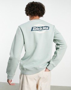 Зеленый свитшот с принтом на спине Dickies Ruston-Зеленый цвет