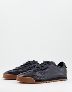 Черные кроссовки со шнуровкой Lacoste Ascenta-Черный цвет