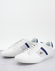 Белые кроссовки с темно-синей отделкой Lacoste Chaymon-Белый