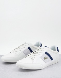 Белые кроссовки с темно-синей отделкой Lacoste Chaymon-Белый