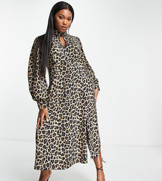 Платье мидакси с вырезом-каплей и звериным принтом ASOS DESIGN Curve-Разноцветный